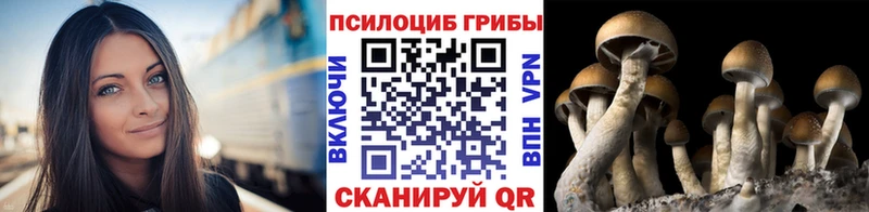 гидра маркетплейс  Котлас  Галлюциногенные грибы Magic Shrooms 